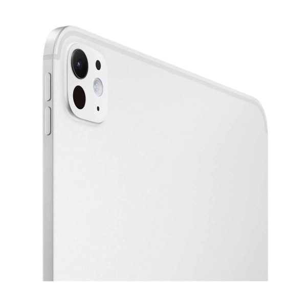 Buy Online iPad Pro 11-inch WiFi 256GB with Standard glass